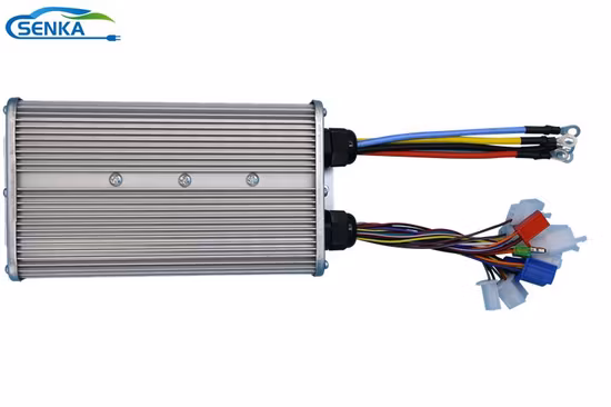 Elektrischer Linearantrieb 12V 24V DC Motor 1000mm Hub Linear Motion Controller 100n 200n 300n 500n